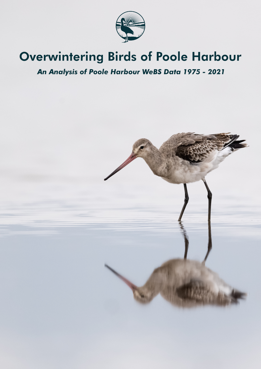 Overwintering Birds of Poole Harbour - An Analysis of Poole Harbour