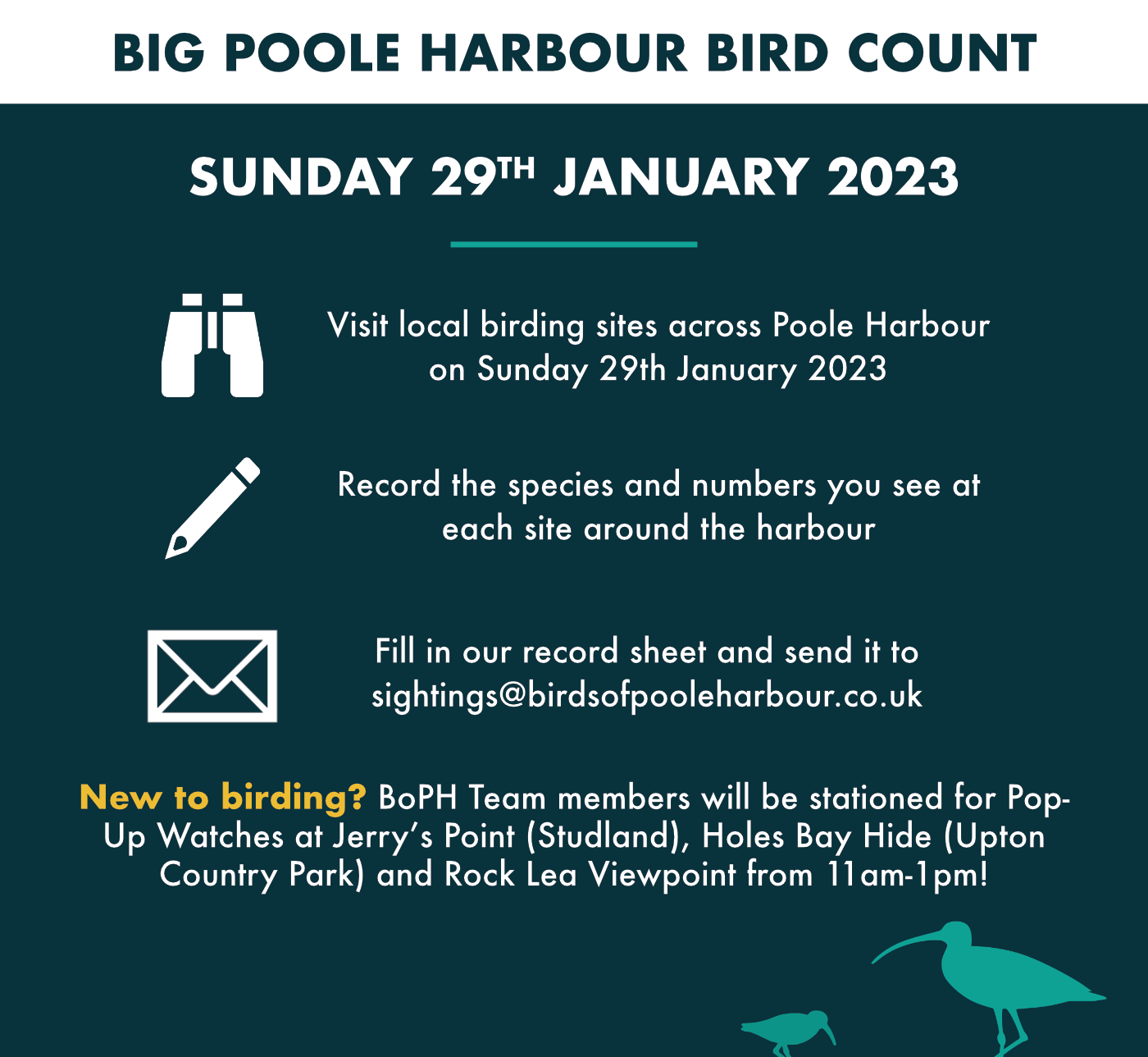 Harbour Update – posted 28/01/23 - Birds of Poole Harbour